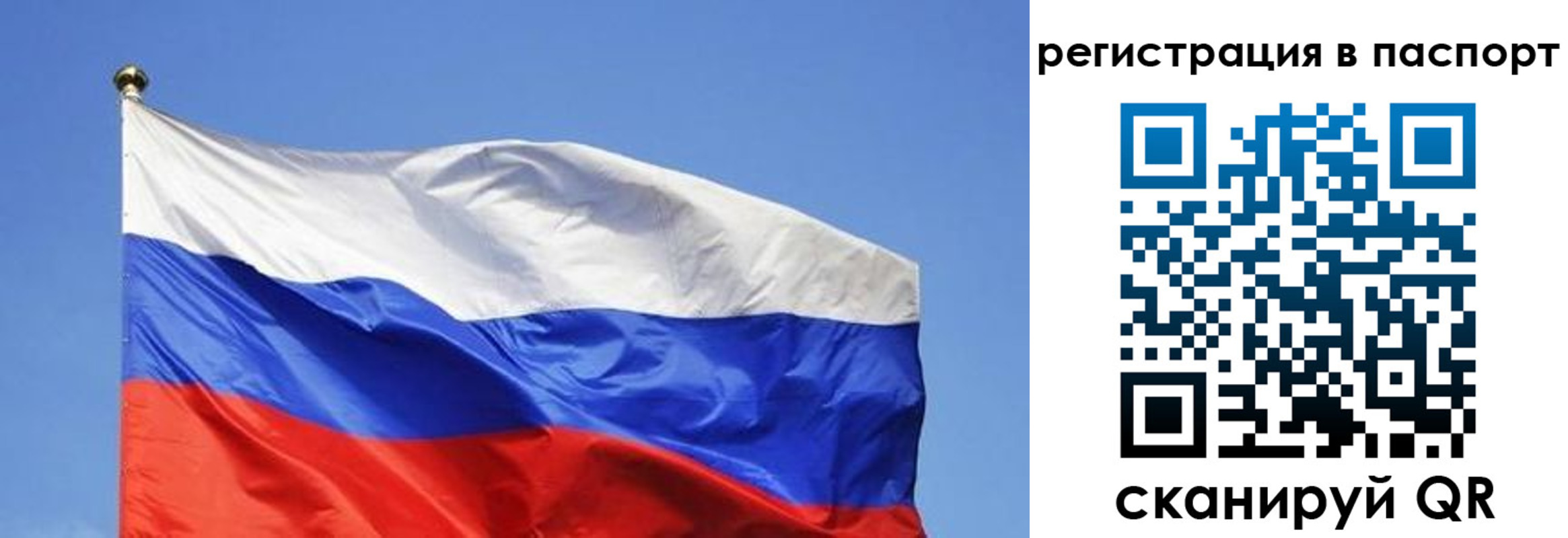 прописка в квартире в Шахунье